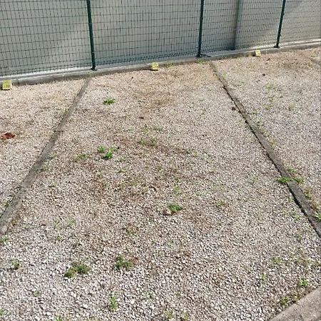 Apartman Delfino 19 *