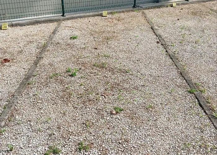 Apartament Delfino 19 *