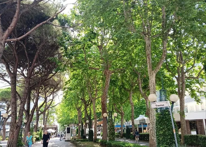 Delfino 19 Apartament